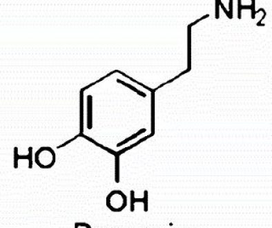 Het verband tussen Dopamine en Roken